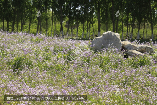 公園一角
