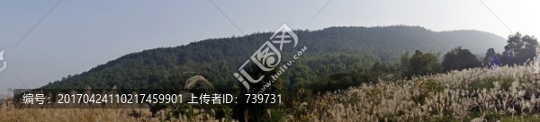 九鳳瑤池