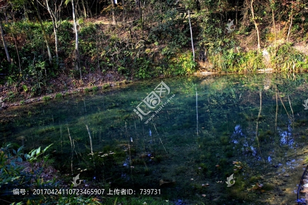 池九鳳瑤