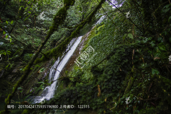 瓦屋山森林公園