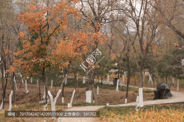 北宮國家森林公園
