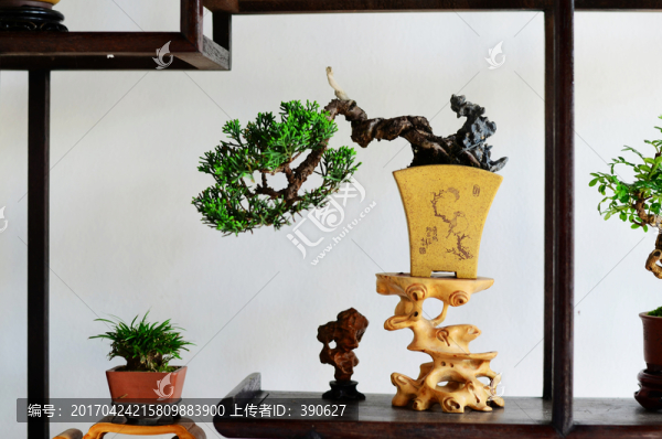 藝術(shù)盆栽