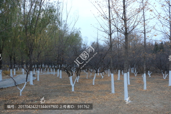 北宮國家森林公園