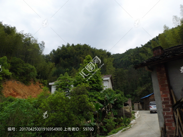 鄉(xiāng)村小景