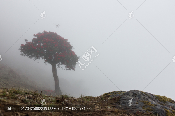 無(wú)人機(jī)霧里看花