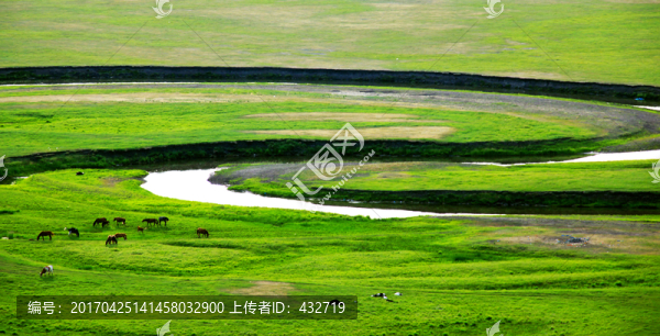 草原牧場(chǎng)河流牛群