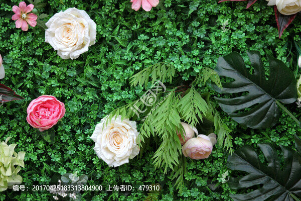 綠色植物墻,綠植,花墻,植物墻