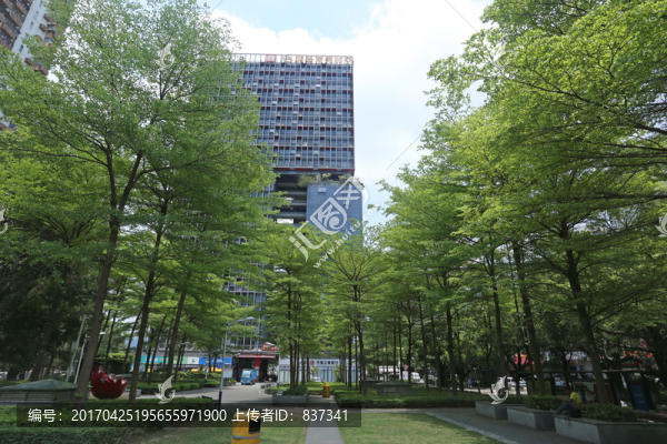 公園