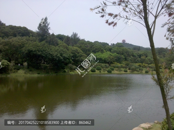 鄉(xiāng)村景觀,鄉(xiāng)村,農(nóng)村,風景