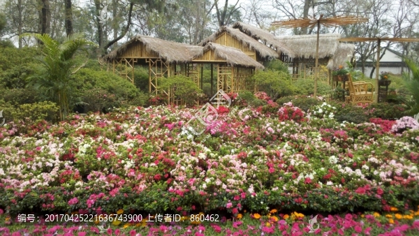 景觀園林,山水園林,古建筑,傳