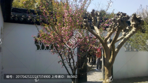 蘇州古宅,園林,蘇州,民居,江