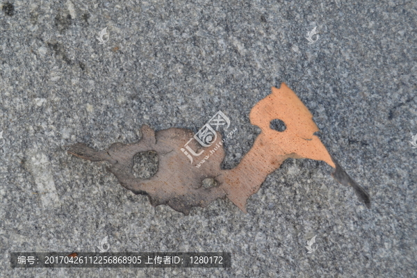 樹皮