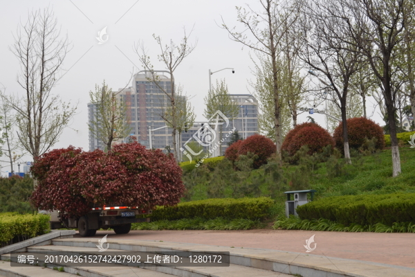 園林風景