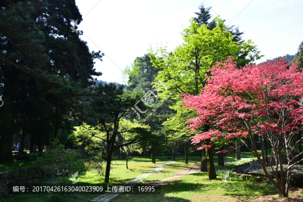 廬山博物館