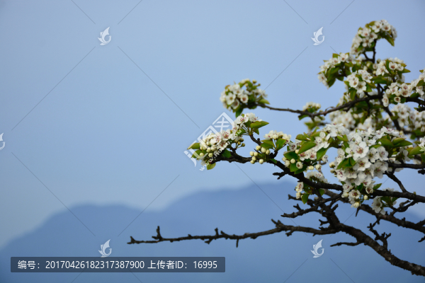 廬山