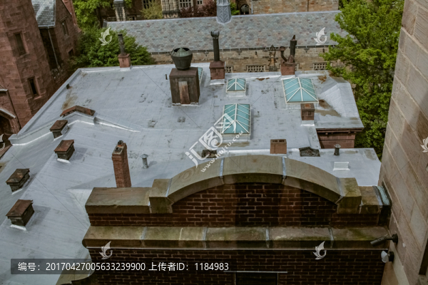 北美,美國,耶魯,大學(xué),景點