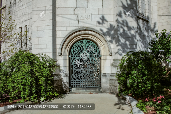 北美,美國,耶魯,大學,景點