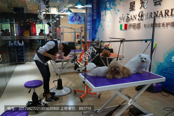 寵物美容