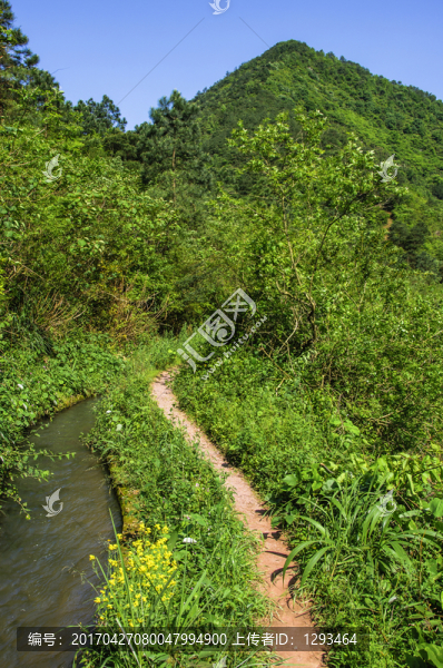 林中小道