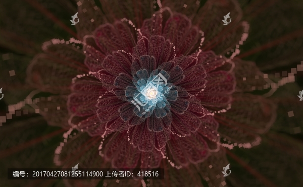 花朵