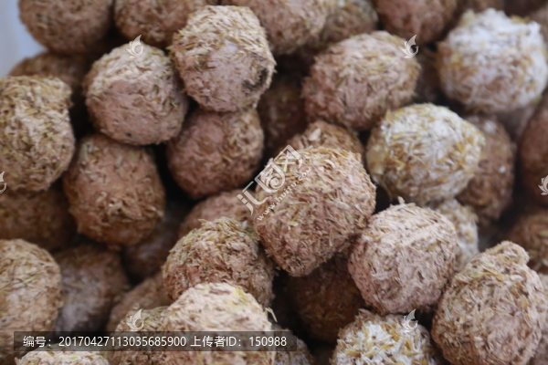 皮蛋照片