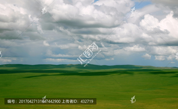 春季大草原