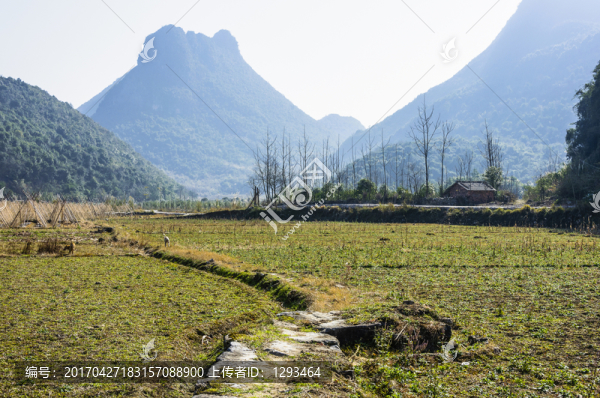 鄉(xiāng)村小路