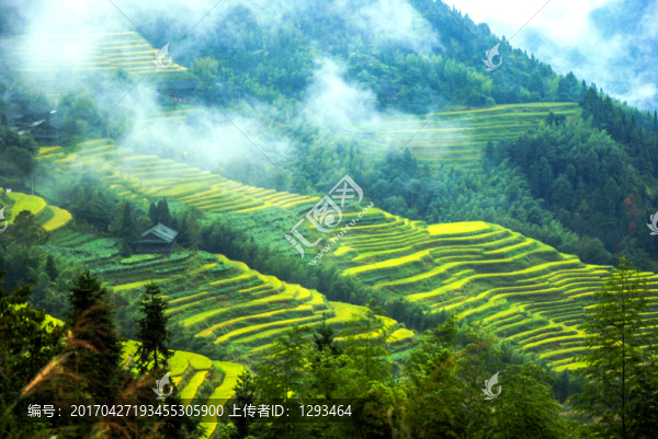 霧色山嶺