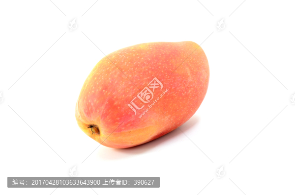 白色背景上的芒果