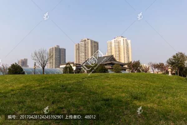 城市與綠地