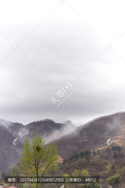 山中云霧