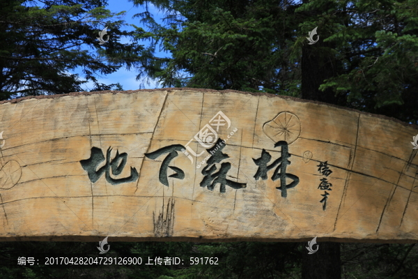 旅游勝地