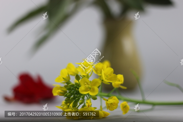 花奔