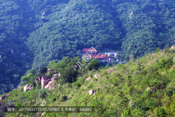 深山,寺院,寺廟