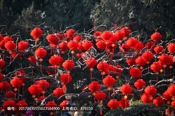 北京,地壇廟會,春節(jié),紅燈
