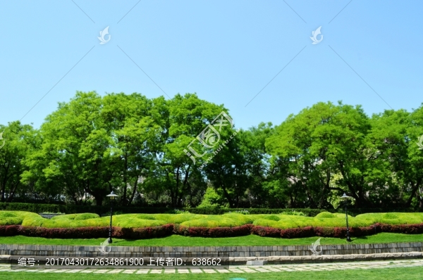 綠樹藍天