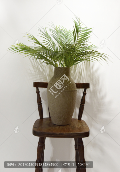 室內(nèi)植物盆栽