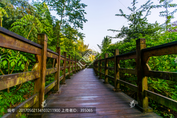 青城后山
