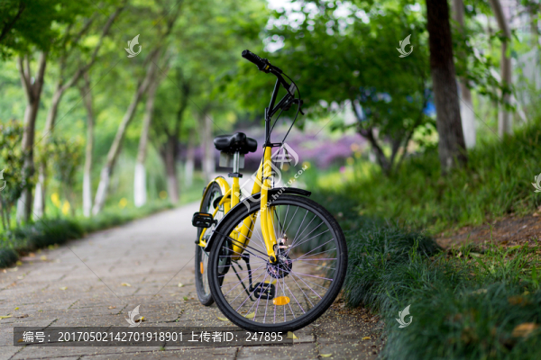共享單車
