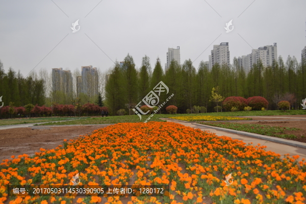 園林內(nèi)景