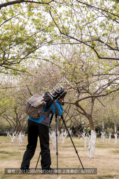 廣州香雪公園