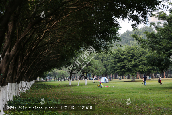 公園一角