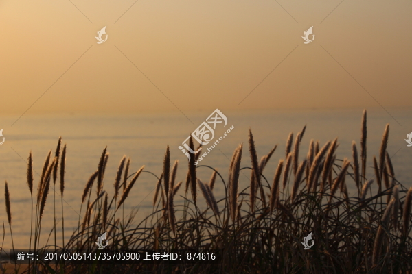 海邊