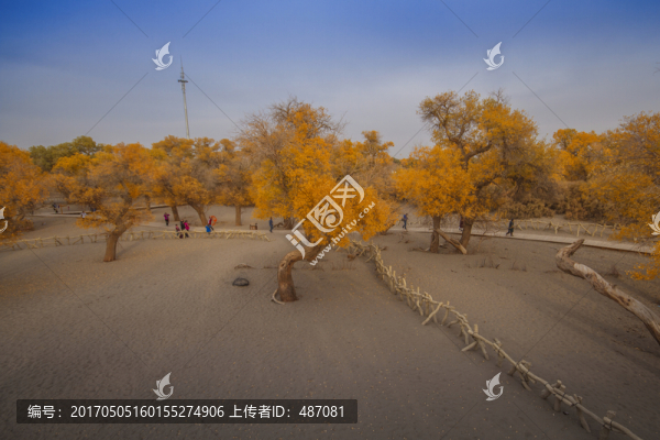 額濟(jì)納旗風(fēng)光