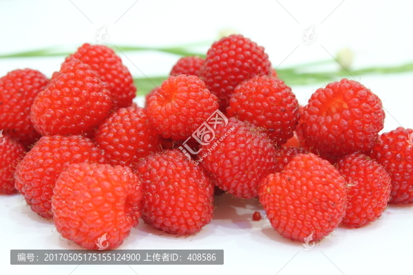 野草莓,隔公,紅果子