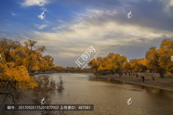 額濟納旗胡楊美景