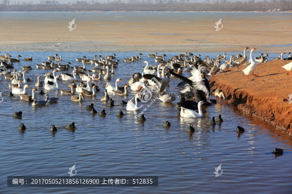 馬奶湖