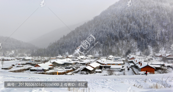 新疆禾木雪景