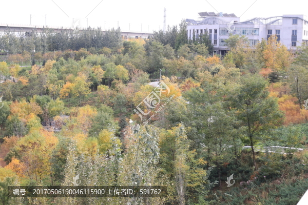 景觀園林