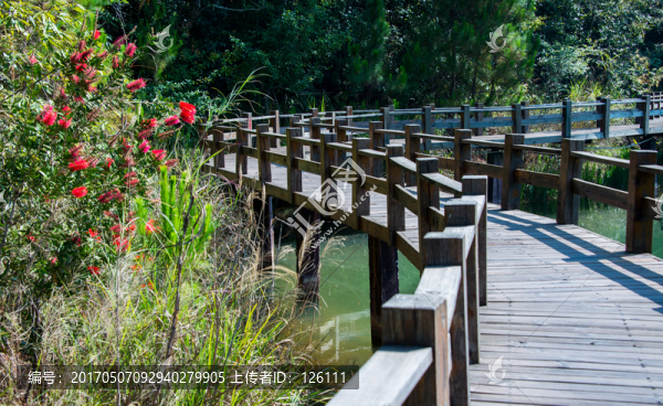 梅子湖棧道